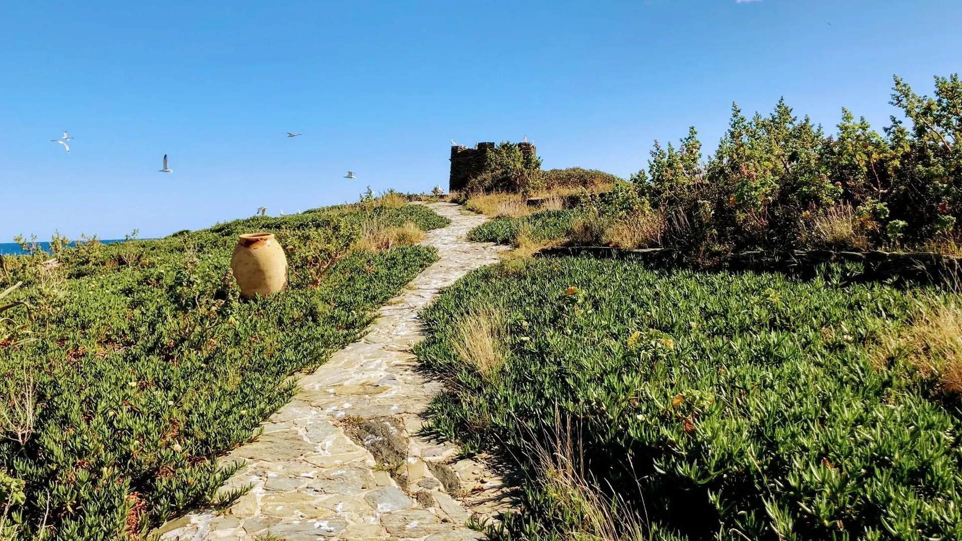 Isla Privada En Cadaques De Ensueno Con 11 Habitaciones Dobles Con Bano Privado Y Piscina